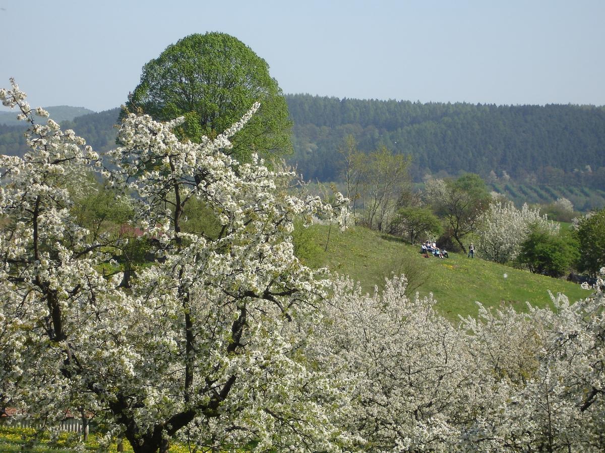 Dorf Gut Hotel Zur Warte Witzenhausen Luaran gambar