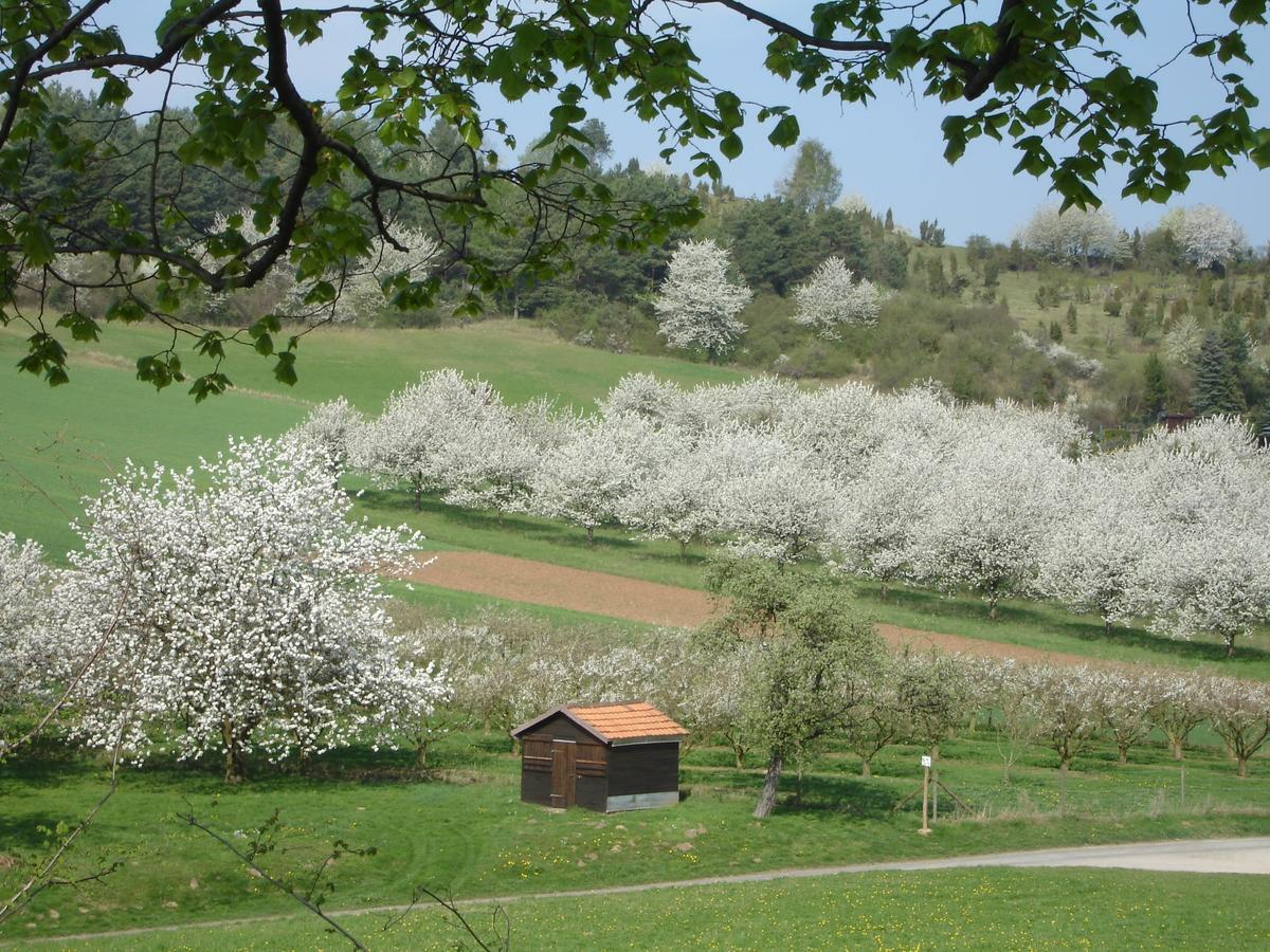Dorf Gut Hotel Zur Warte Witzenhausen Luaran gambar
